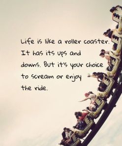 roller coaster