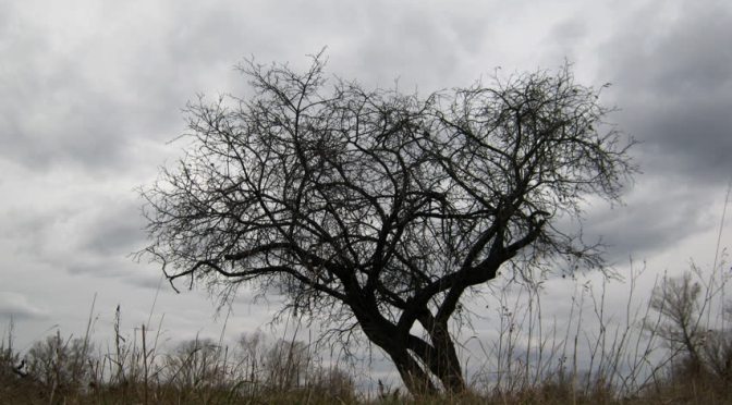 “In My Feelings” by Rhoshonda Adkison